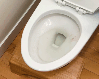 Toilet Bowl Cleaner Sheets - image 4